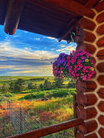 Property grounds. See the stars from this cozy guest cabin 30 minutes from Billings.