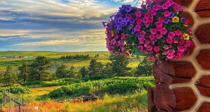 See the stars from this cozy guest cabin 30 minutes from Billings.