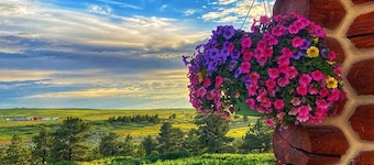 See the stars from this cozy guest cabin 30 minutes from Billings.