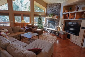 Smart TV, fireplace, DVD player, video library