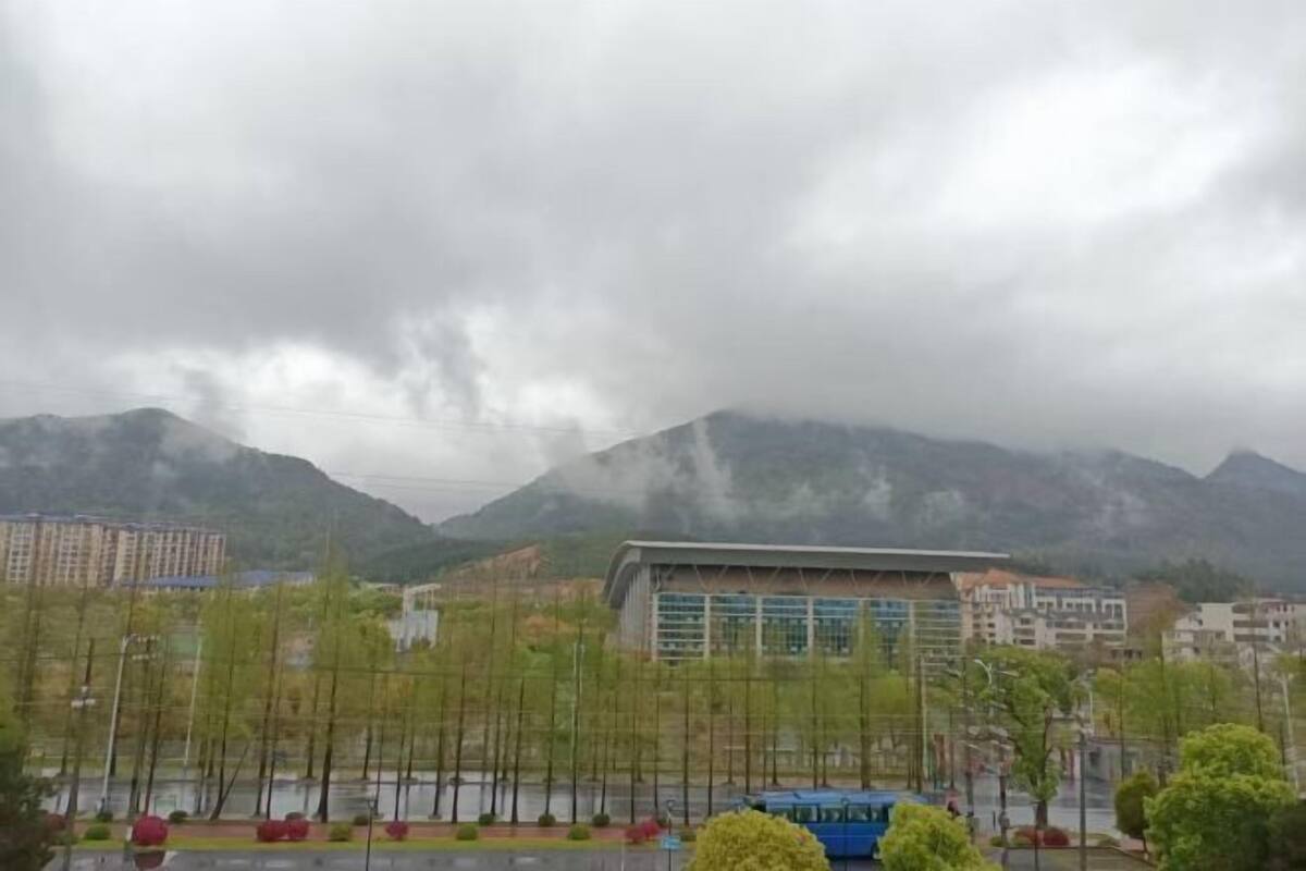 A view of a modern building with a flat roof and large windows, surrounded by a landscaped area with young trees and a paved road.