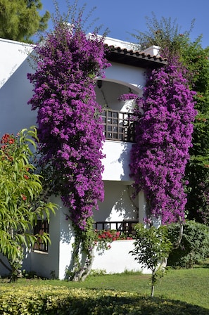 Balcony - Emelda Sun Club (Kemer)