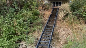 A railway track leading to a building surrounded by dense foliage. - Exotic Waterfront Getaway (Salem)
