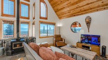 TV, fireplace, video games, video library