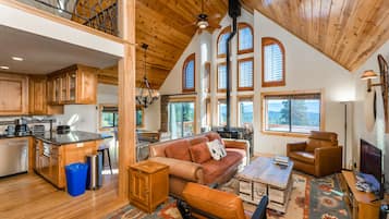 TV, fireplace, video games, video library