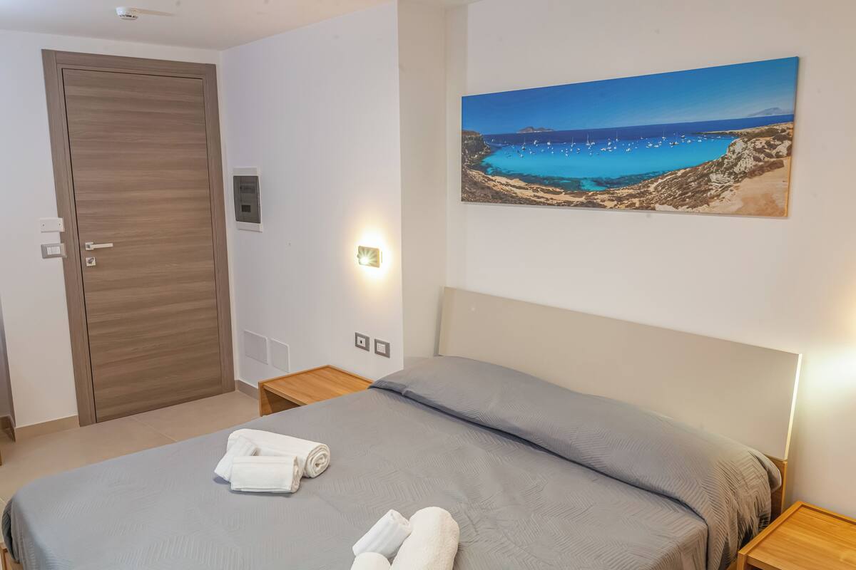 Chambre Double ou avec lits jumeaux, 1 lit double