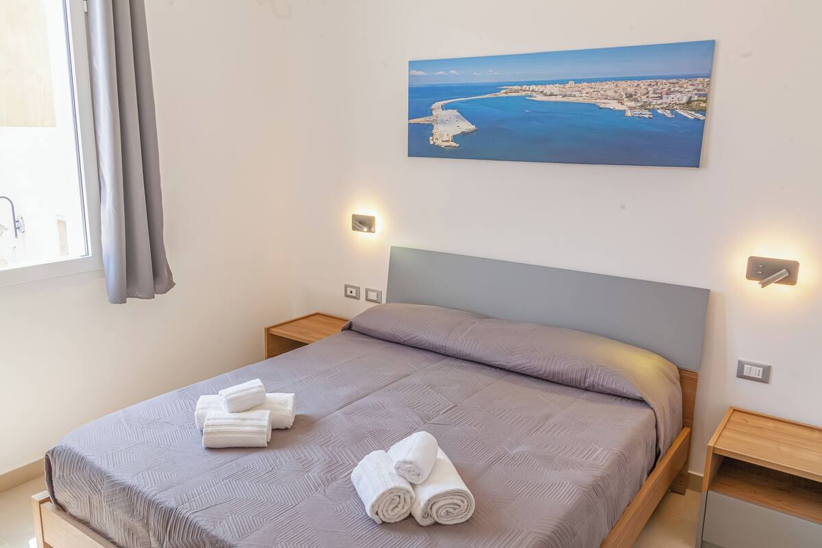 Chambre Double ou avec lits jumeaux, 1 lit double