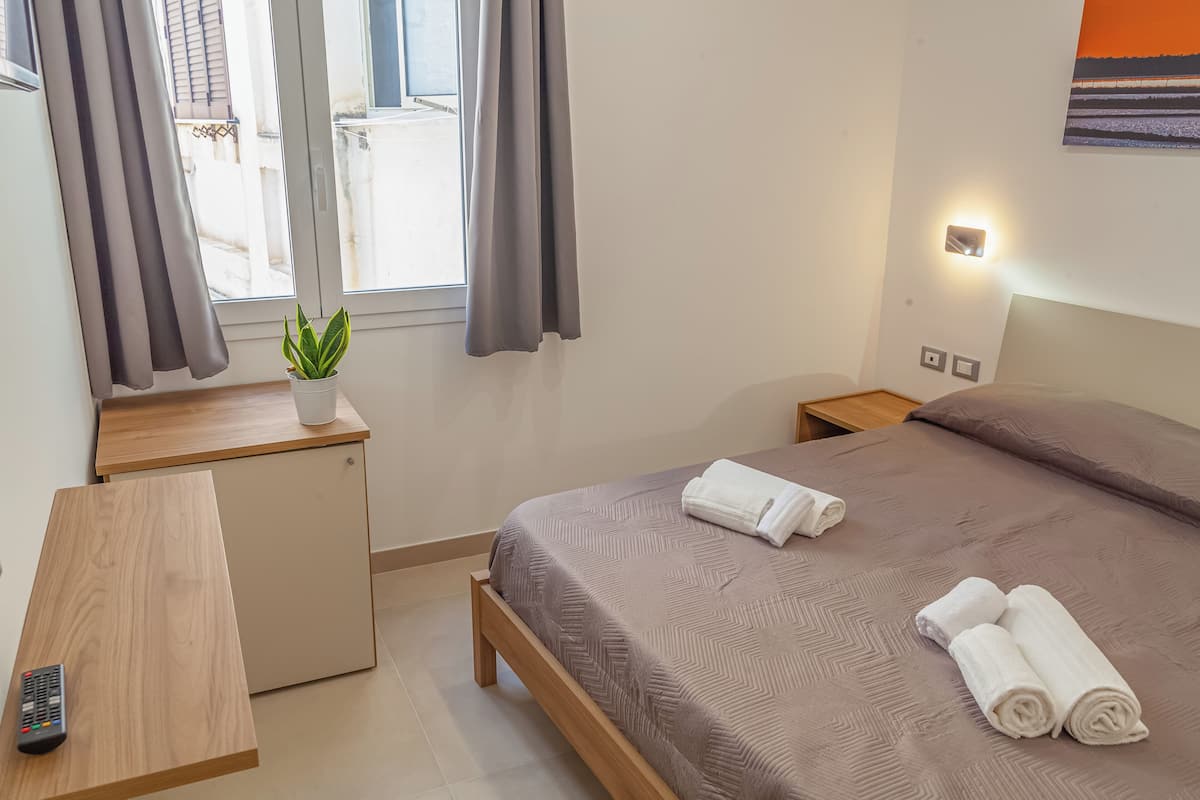 Chambre Double ou avec lits jumeaux, 1 lit double
