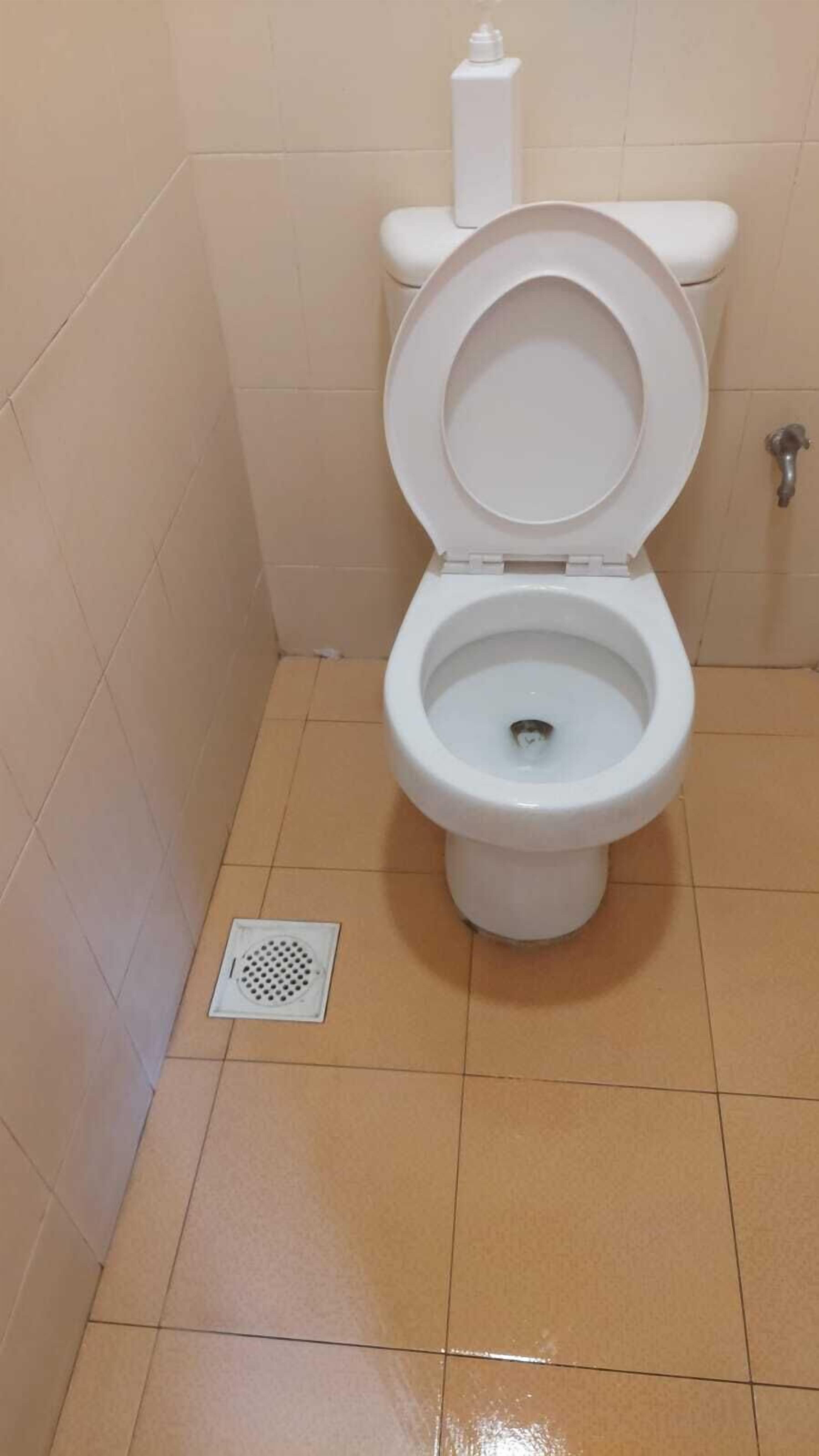 Photo - Wink at Upper Cross Street