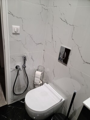 Douche, séchoir à cheveux, serviettes fournies, savon