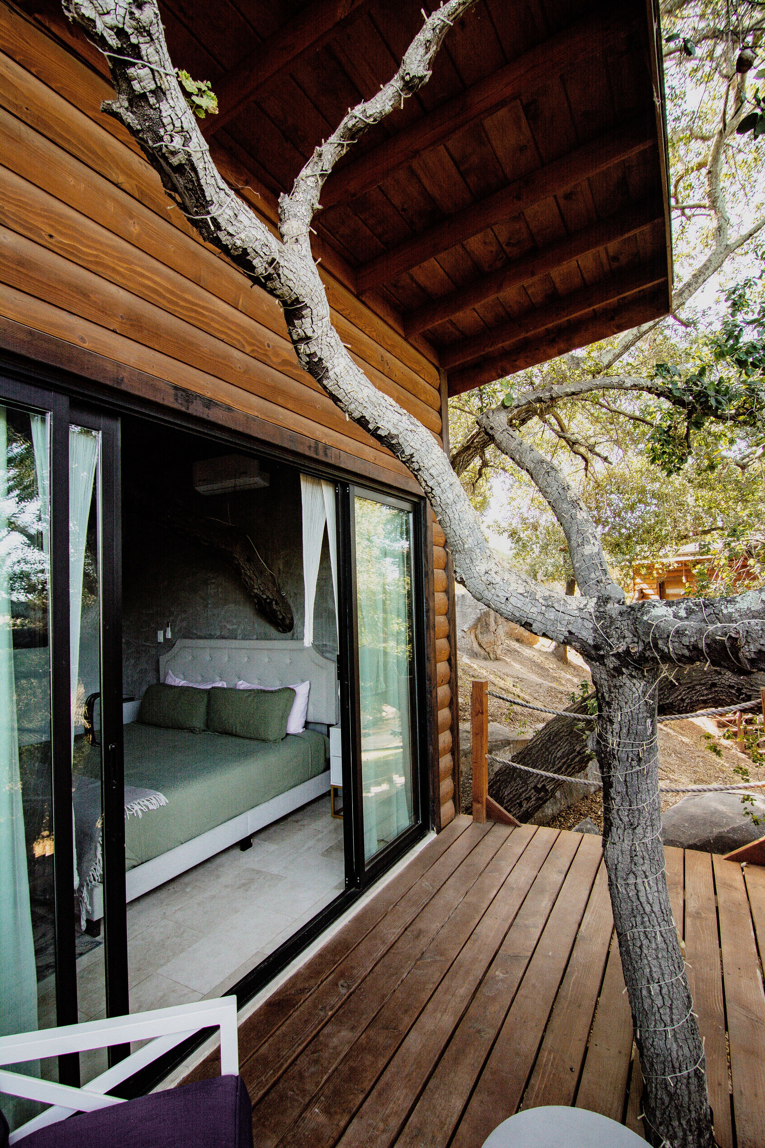 Deluxe Room | Terrace/patio