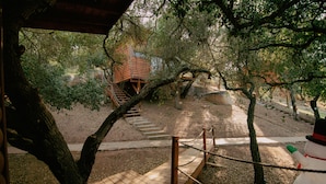 Presidential Room | Terrace/patio - Boskenvid Hotel Boutique, Skypool (Valle de Guadalupe)