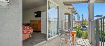 (Cozy studio, 1BED, 1BA, No kitchen)