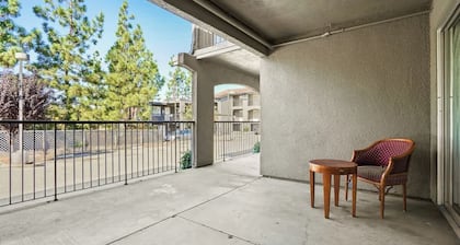 (Cozy studio, 2BED, 1BA, No kitchen)