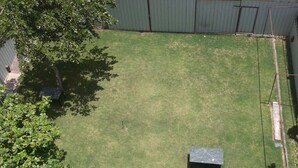 A fenced backyard with a grassy lawn, a small black object, and a tree. - Hotel Santosh (Jodhpur)