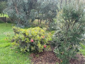 Área da propriedade