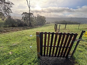 A bench in a grassy field with a fence and trees in the background. - Ironbark cabin, a tranquil secluded getaway between Daylesford and Kyneton. (Drummond)