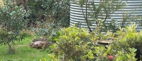 Um jardim com diversas plantas e um bebedouro para pássaros.