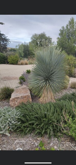 Overnatningsstedets område