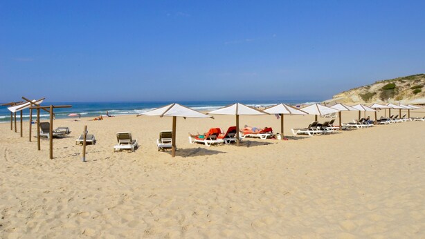 A beach with rows of sunbeds and umbrellas, a clear blue sky, and the ocean in the background.