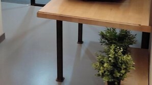 Een modern interieur met een waterfontein van steen op een houten tafel, een potplant en een glazen deur naar een douchegedeelte.