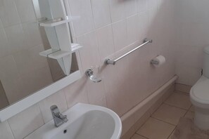 A bathroom with a white sink, a mirror, a toilet, and a grab bar. - Spacious Executive Holiday Apartment In Bulawayo (Bulawayo)