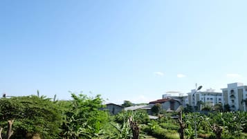 Vista desde la propiedad