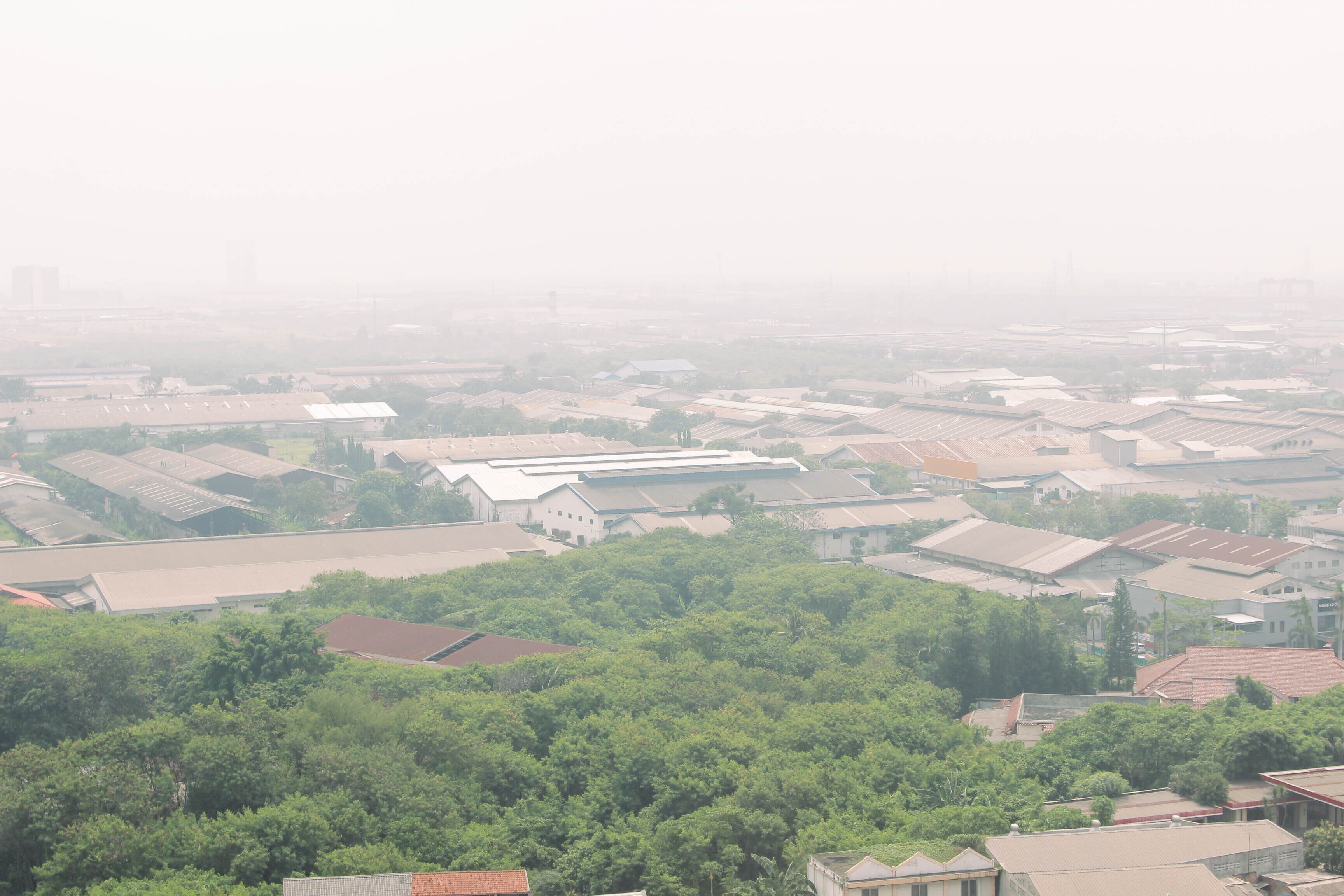 A cityscape with numerous buildings, some with flat roofs and others with sloped roofs, surrounded by greenery.