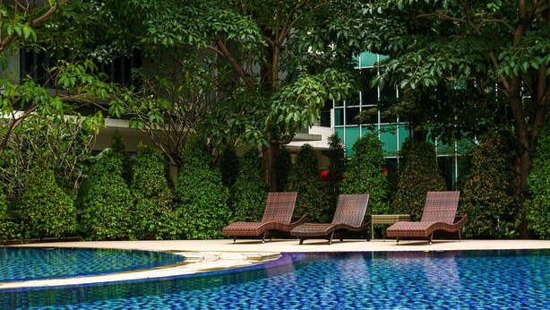 Una piscina con sillones de descanso y abundante vegetación.