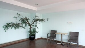 A room with a large potted tree, two wicker chairs, a small table, and a wooden floor. - Cozy Living Studio Apartment At Belmont Residence Near Puri (Jakarta)