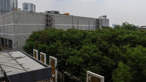 Un edificio de techo plano con un gran árbol en primer plano.