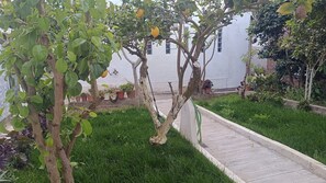 Property grounds - Ginjals 67 (Lisboa)