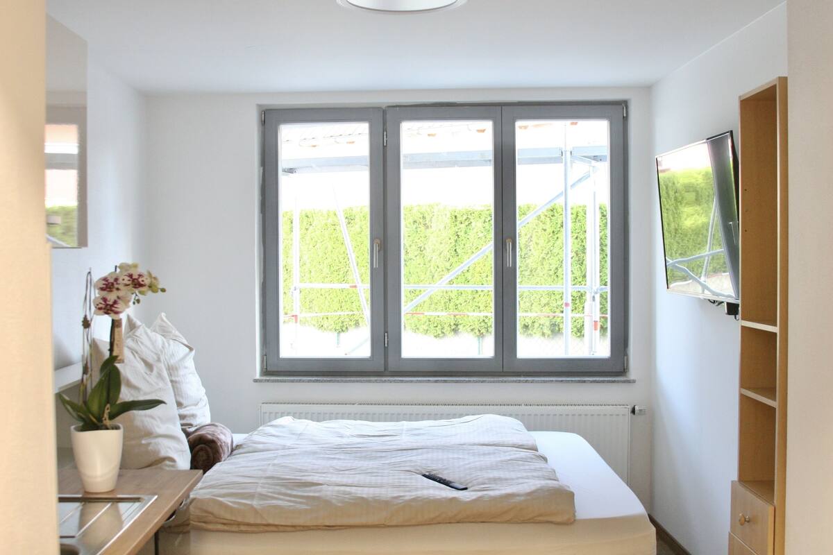 A bedroom with a large window, a bed, a bedside table with a plant, and a TV mounted on the wall.