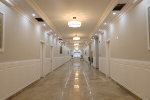 Meeting facility - Haile Grand Addis Ababa (Addis Ababa)