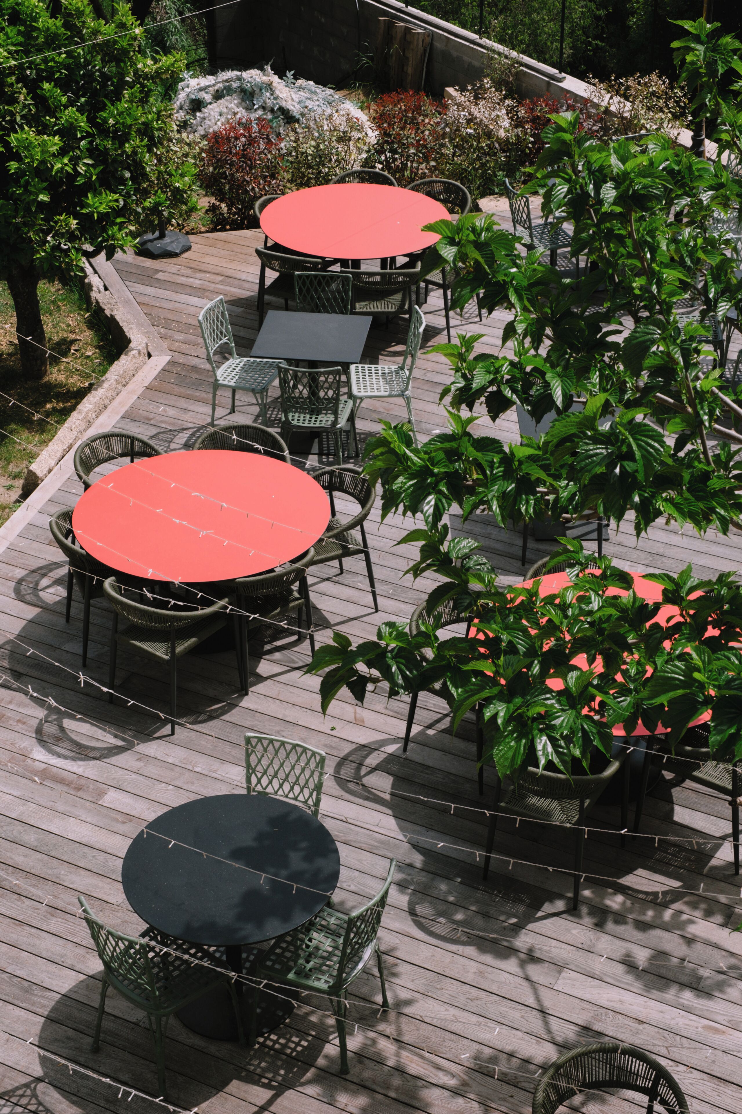 An outdoor patio with multiple round tables and chairs, surrounded by lush greenery and plants.