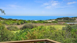 Property grounds - Coast and Country - 16 Riverview Drive, Carrickalinga (Carrickalinga)