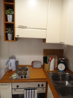 Una cocina con estufa, horno, pileta y alacenas. Hay plantas en cubetas metálicas en los estantes, una tetera, un tostador y una balanza.