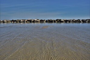 Una spiaggia nelle vicinanze