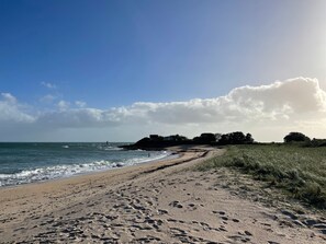 Beach - Fleur & Mer (Montfarville)