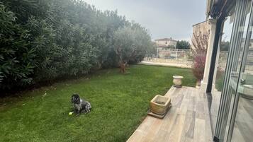 Terras