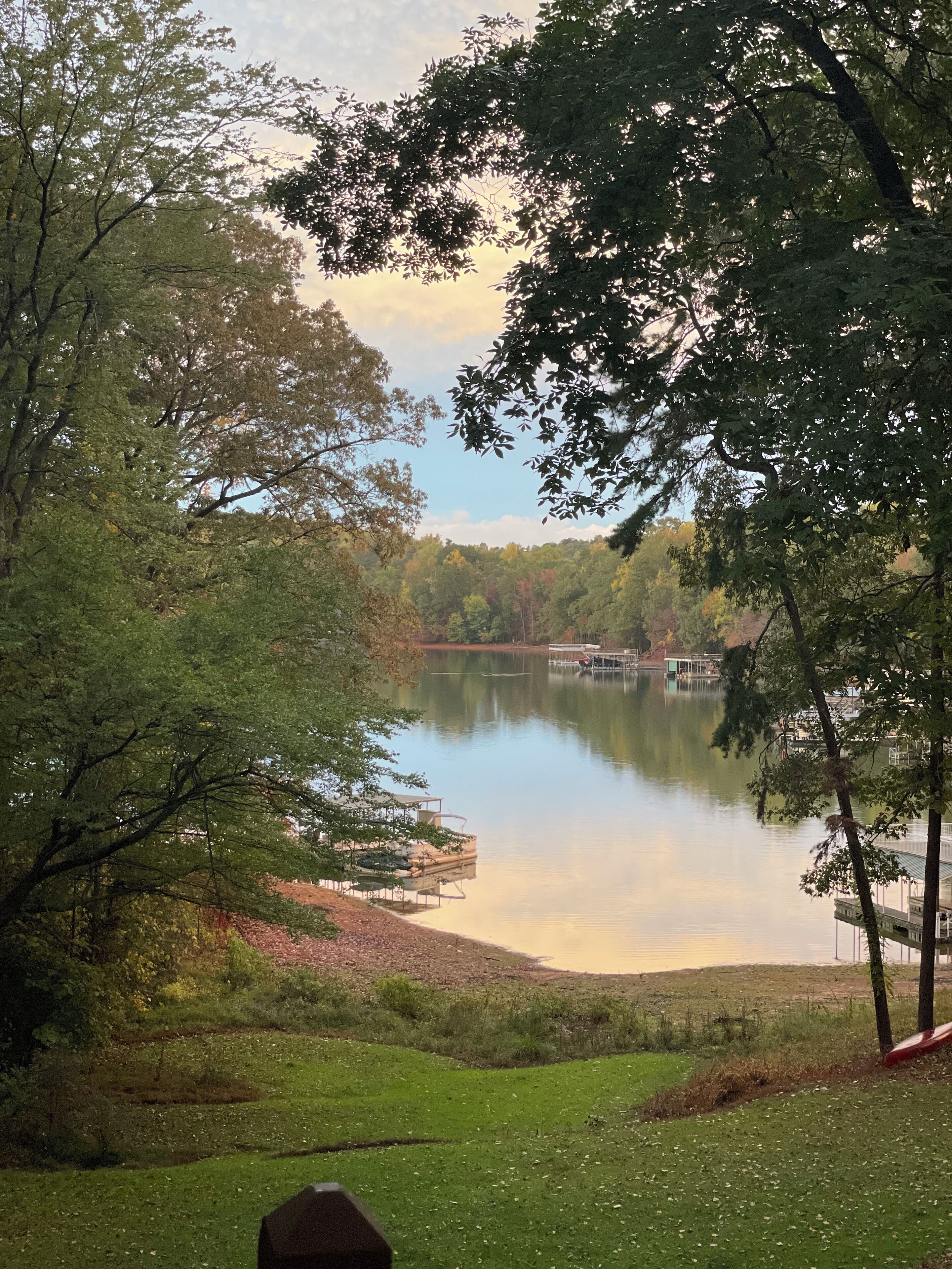 A serene lakeside view with trees, a dock, and a grassy area.