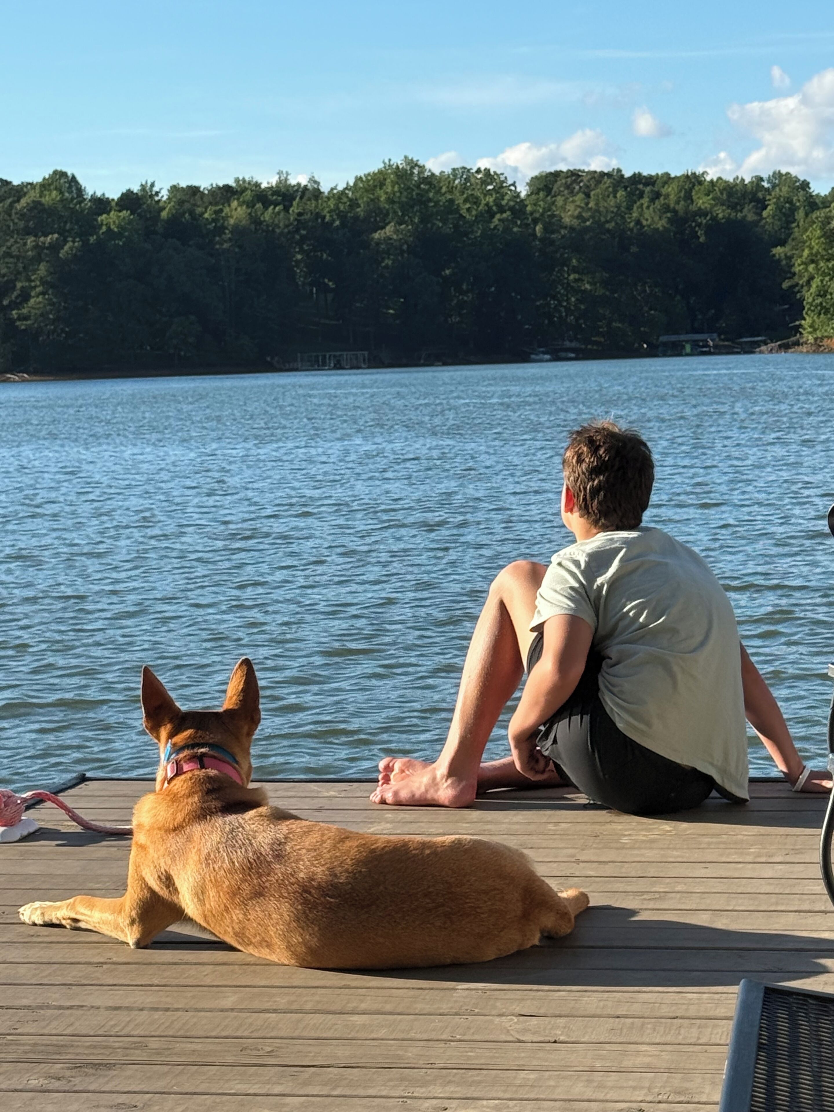 Una persona sentada en un muelle de madera junto a un lago, con un perro acostado a su lado.
