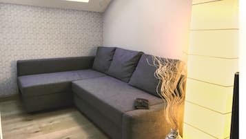 80-cm LCD TV with digital channels, TV, iPad