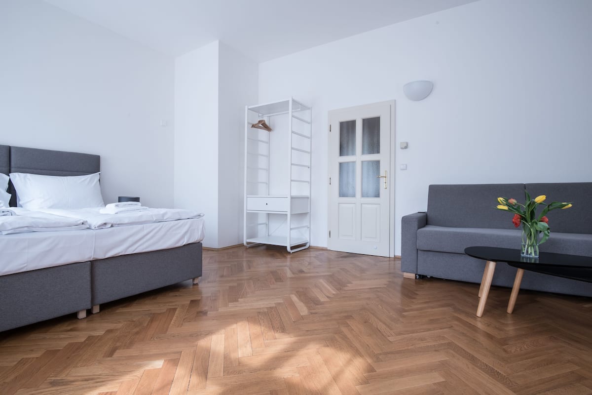 City Apartment, 1 King Bed with Sofa bed