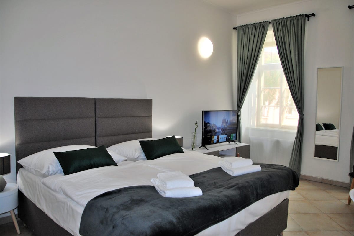 City Apartment, 1 King Bed with Sofa bed