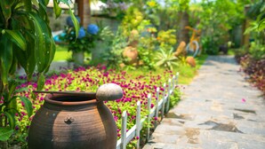 A garden pathway with a large ceramic pot on the left. - An Bang Garden - 4BR pool villa- 3 mins walk to An Bang beach. (Thành phố Hội An)