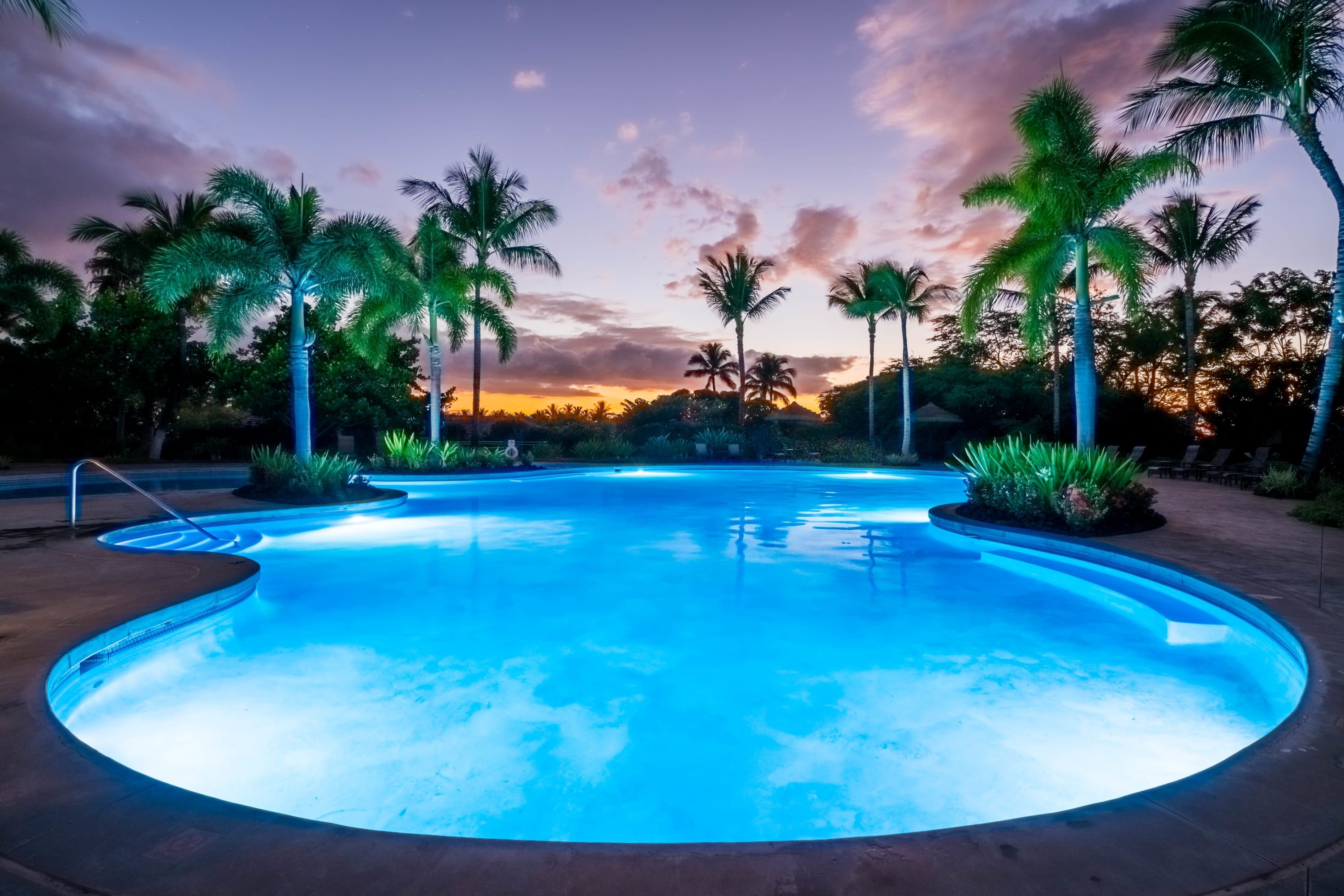 Une piscine à bord incurvé, entourée de palmiers, avec un coucher de soleil en arrière-plan.