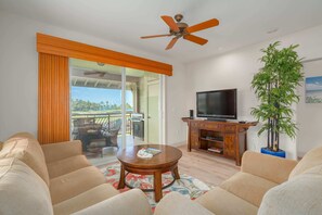 TV, DVD player, offices