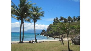 A beach with palm trees, clear blue water, and rocky cliffs. - Villa Anse Vinaigri - Beach on foot 👣 (Le Gosier)