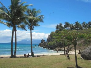 Una platja amb palmeres, aigua blau clar i penya-segats rocoses.